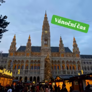 98. Vánoční trhy- město Vídeň