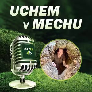 O hospodaření ve Východním Krušnohoří s Janou Svobodovou