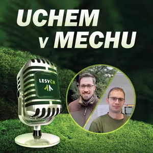 Prodej zvěřiny: Z lesa na stůl