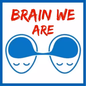 159: Brain We Are - Top 5 Suplementů, Svobodná Vůle, De-kretenizace, Vědomí a Supernástroje pro Změnu Myšlení
