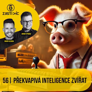 56 - Překvapivá inteligence zvířat