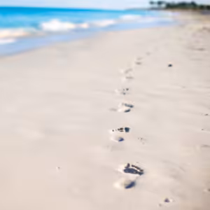 Následovat Ježíše