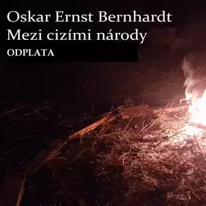 Mezi cizími národy - XVII - Odplata 2 část