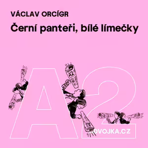 Václav Orcígr: Černí panteři, bílé límečky