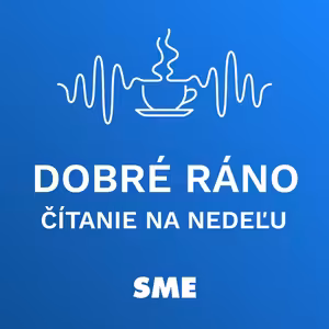 Čítanie na nedeľu: Tradíciu verejných vianočných stromov odštartoval dojemný príbeh