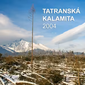 Tatranská kalamita 2004