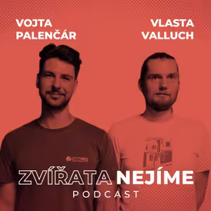 Vojta Palenčár, Vlasta Valluch: Anonymous for the Voiceless, Kostky Pravdy