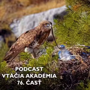 Predstavte si, že aj o vtáčej ríši vznikajú konšpiračné teórie