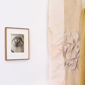 MeetFactory: Planted in the Body (Tereza Jindrová)