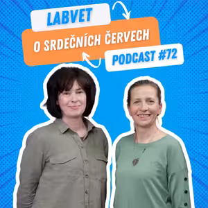 ❤️ O srdečních červech ❤️ | Labvet Podcast #72