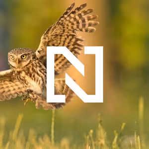 Proč z české krajiny mizí ptáci