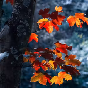 Dopoludnie na Infovojne s Adrianom 23.9.2022