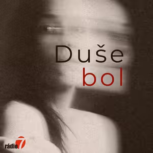 Dušebol: Ohlédnutí