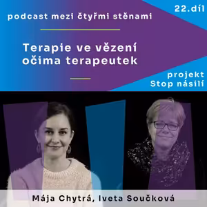 Terapie ve vězení očima terapeutek