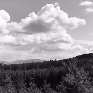 Magdalena Platzová: Orlovice u Klatov