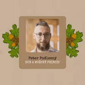 Peter Podlesný: Dub a mužský princíp