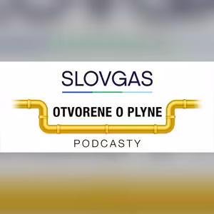 Otvorene o plyne s Rastislavom Ňukovičom