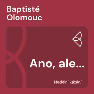 Ano, ale... (24.11. 2024)