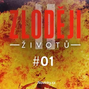 LÁSKA JE LÁSKA: Kdo zavraždil a zapálil spořádaně žijící ženu?