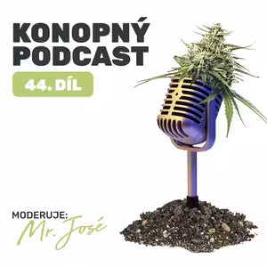 Rozhovor se mnou pro Czech Cannabis TV
