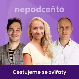 Cestování se zvířaty