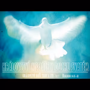 Království Boží, tady a teď 5 - Království Mesiáše v Duchu Svatém - Bohuslav Wojnar (16.11.2014)