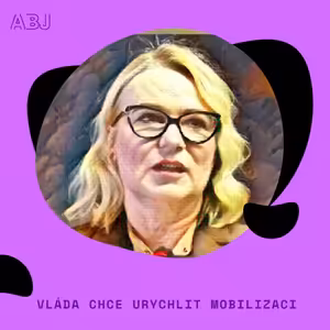 Vláda chce urychlit mobilizaci