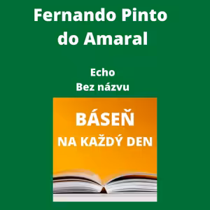 Fernando Pinto do Amaral - Echo + Bez názvu