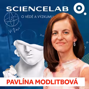 Plasty v paprikách: Česká vědkyně odhaluje, jak mikroplasty pronikají do naší zeleniny