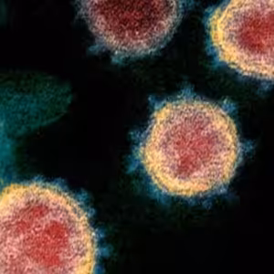 INESS na DNES #6: COVID-19 Manifest pre Slovensko