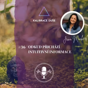 #36 Odkud přichází intuitivní informace