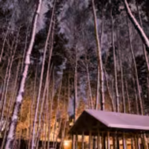 HOROSKOPY: Panny, pracovní i milostný život vypadá velmi nadějně