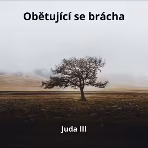 Obětující se brácha