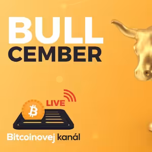 🔴BULLcember - Bitcoin do konce roku přes $100K?