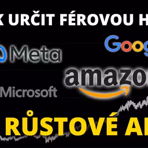 Nejlepší evropská akcie: Jak určit hodnotu rychle rostoucí společnosti