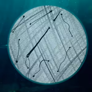 Jonáš: Jehla a nit (37)