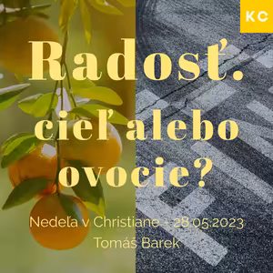 Radosť. Cieľ alebo ovocie? - Tomáš Barek