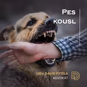 107: Pes Kousl