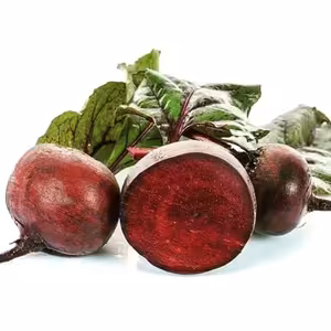 Zázračná molekula NO