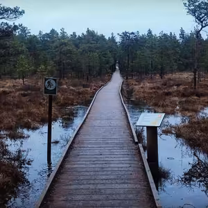 S6E12: ESTÓNSKO - Utopiť do močiara