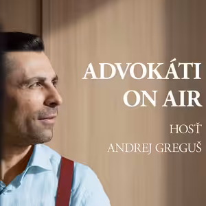 IN 55 - Na strane obvineného