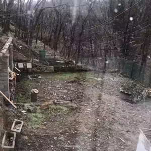 Bez eletřiny si neškrtneš