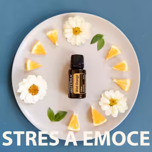 Vůně Klidu: Esenciální Oleje proti Stresu a pro Emoční Rovnováhu 🌈🍃