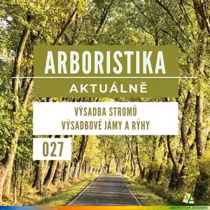 Výsadba stromů - Výsadbové jámy a rýhy - Arboristika aktuálně #027