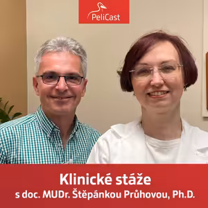 Štěpánka Průhová: Klinické stáže