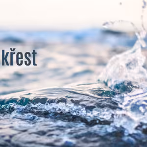 Členství v církvi