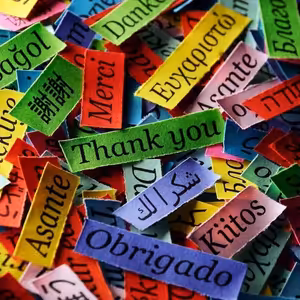 DENKO (Európsky deň jazykov)