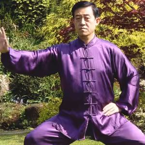 Chen Zhenglei: O výrazném pokroku - Umění Tchaj-ťi čchüan