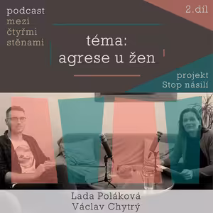 "Pro ženy může být těžké si agresi přiznat. Jdou proti ideálu ženskosti." Terapeuti hovoří o násilí u žen.