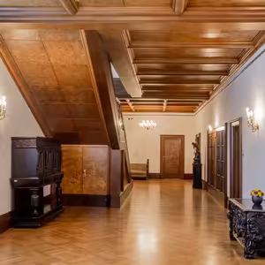 Brněnské vily - Stiassny